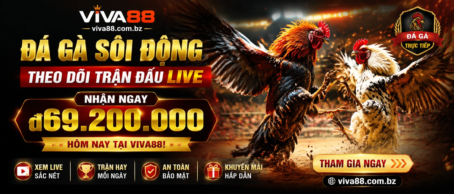 Đá Gà trực tiếp trên Viva88